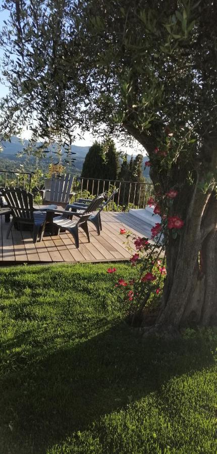Les Lodges De L'Oliveraie De Virevent Grasse Exteriér fotografie